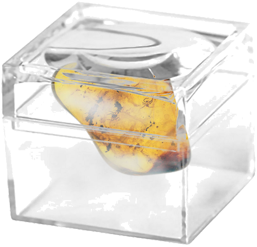 3,05 g Amber Nugget with Spider inclusions (2)