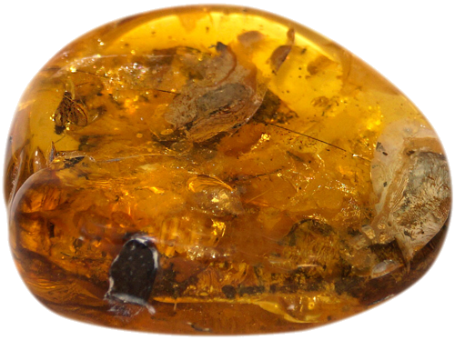 34,30 g Amber Nugget with fly inclusions (1)