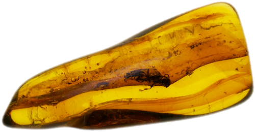 1,10 g Amber Nugget with inclusion (1)