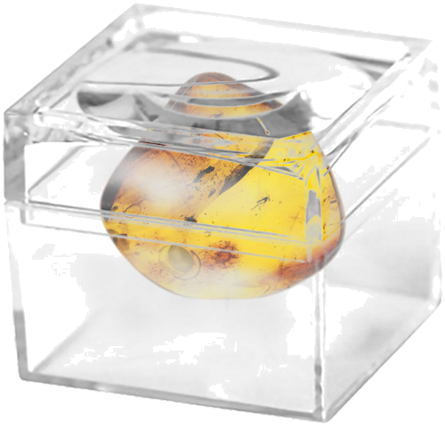 3,60 g Amber Nugget with inclusion (2)