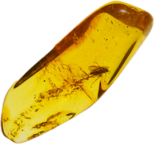 1,25 g Gintaro grynuolis su inkliuzu (1)