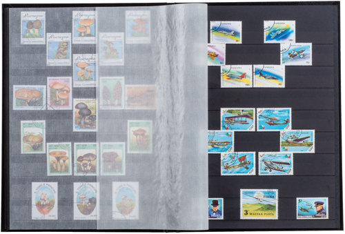 Album for stamps Basic Black (64 p.) (3)