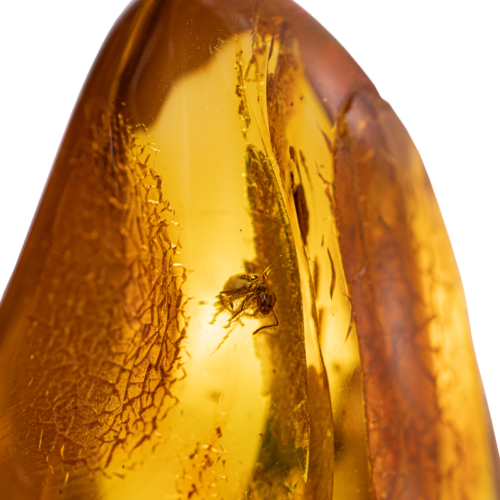 15,10 g Amber Nugget with inclusion (2)