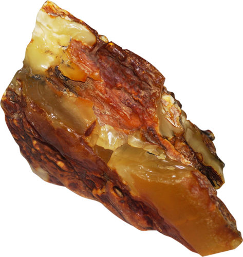 542 g Gintaro grynuolis (2)