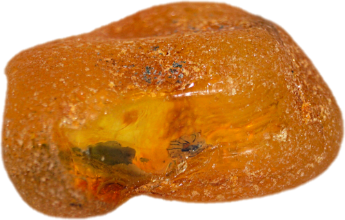 7.50 g Sea Amber Nugget with inclusion (1)