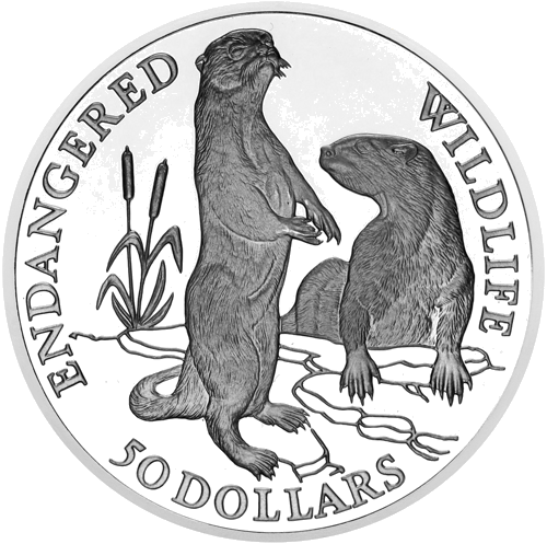 50 Dollars Otter 1991 Cook Islands Silver Coin (1)