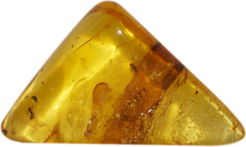 13 g Amber Nugget with bug and fly inclusions (2)