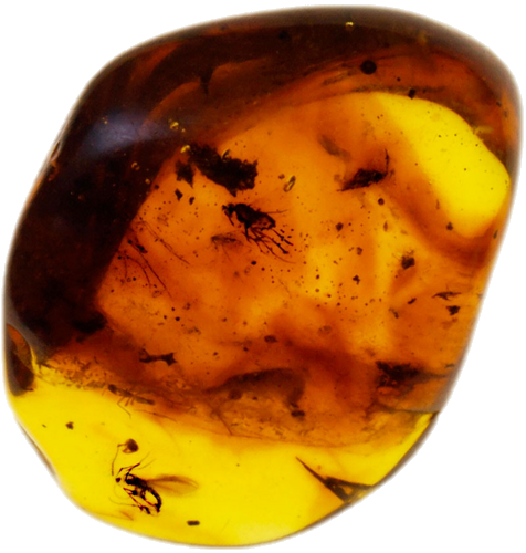 2,30 g Amber Nugget with inclusion (1)