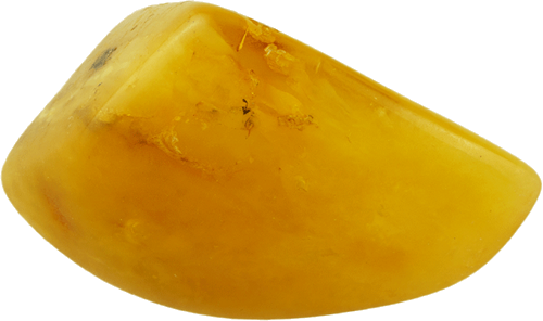 6,65 g Gintaro grynuolis (3)