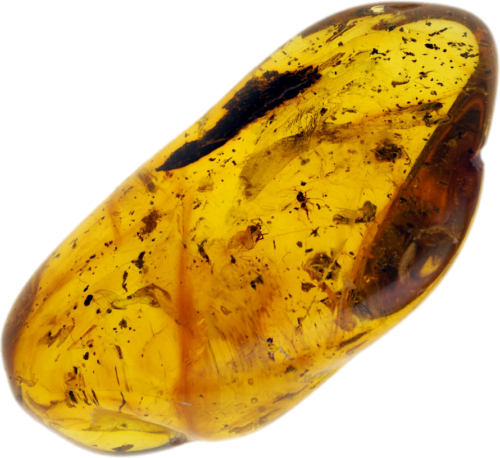 5,35 g Amber Nugget with inclusion (1)