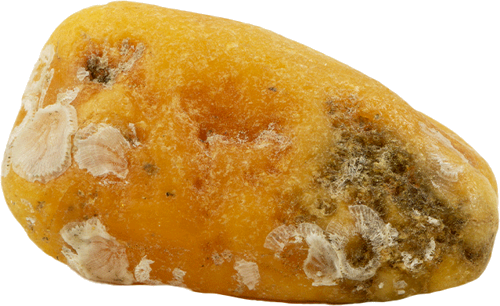 5,65 g Jūras dzintara tīrradnis (1)