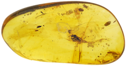 2,00 g Amber Nugget with inclusion (1)