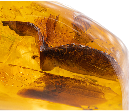 32,25 g Amber Nugget with inclusion (4)