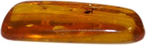 Polished amber raw material with inlays 1 g - 10 g (3)