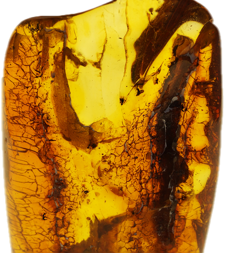 19 g Amber Nugget with 7 inclusions (2)