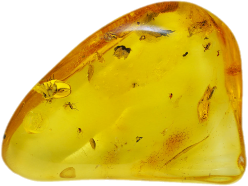 13,40 g Amber Nugget with inclusions (2)