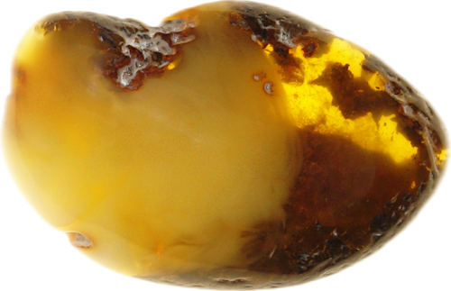 21,10 g Gintaro grynuolis (1)