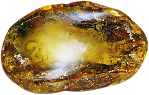 146 g Amber Nugget with natural cloud and tree bark inclusion (1)