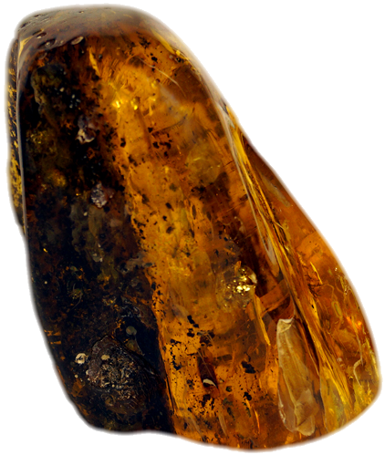 236 g Amber Nugget (4)