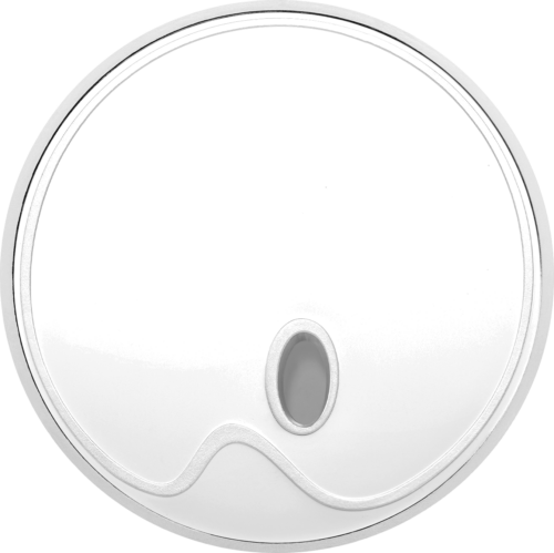 2012 Искусство Литва 10 литов серебряная монета (1)