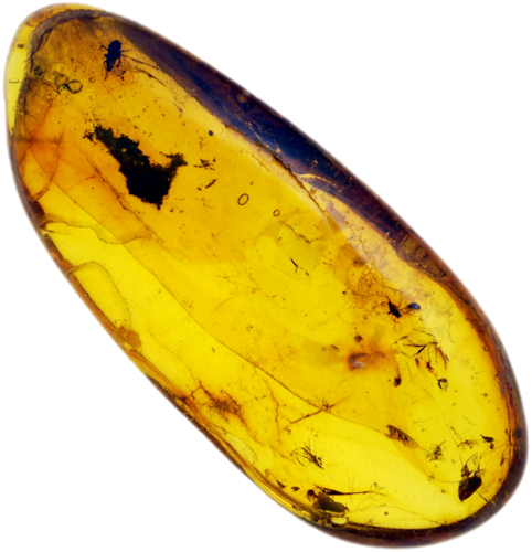 3,20 g Amber Nugget with inclusion (1)