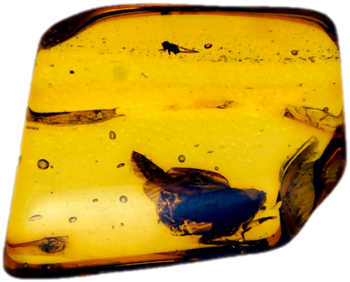 1,10 g Amber Nugget with inclusion (1)