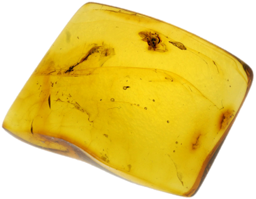 1,95 g Gintaro grynuolis su inkliuzu (1)