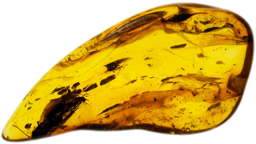 2,70 g Amber Nugget with inclusion (1)