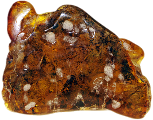 8,60 g Amber nugget with tree bark inclusion (1)