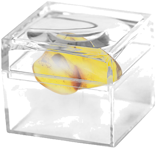 2,10 g Gintaro grynuolis su inkliuzais (2)