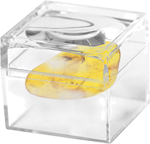 1,40 g Amber Nugget with inclusions (2)