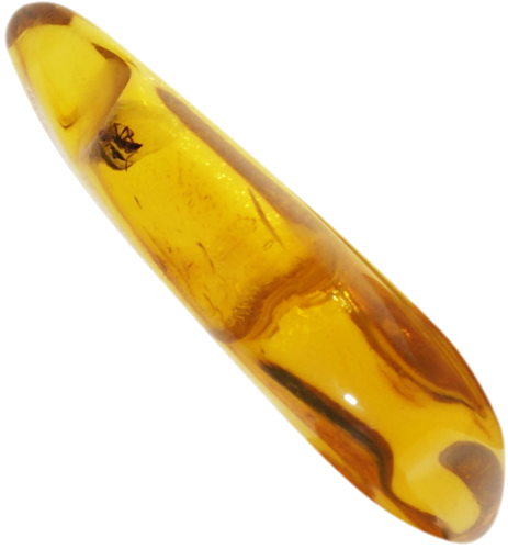 3,50 g Gintaro grynuolis su inkliuzu (1)