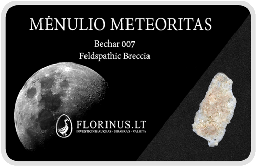 Mėnulio meteoritas (1)