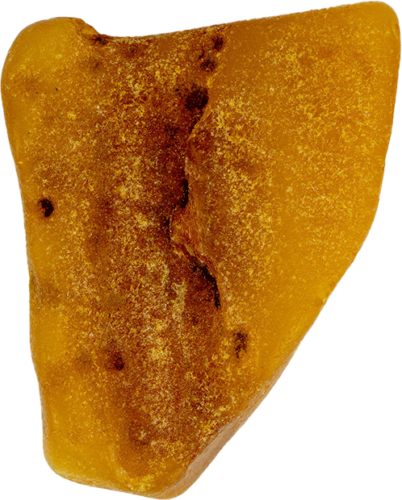 7,70 g Jūrinio Gintaro grynuolis (1)