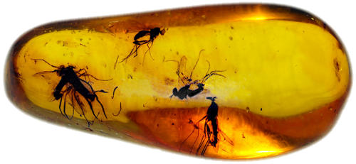 2,05 g Amber Nugget with inclusion (4)