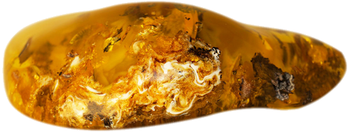 Янтарный самородок 57,55 г (1)