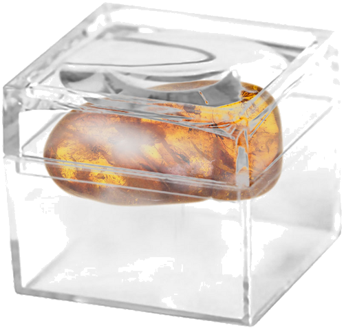 Самородок янтаря с инклюзом 5,65 г (2)