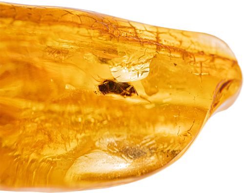 6,75 g Amber Nugget with inclusion (2)