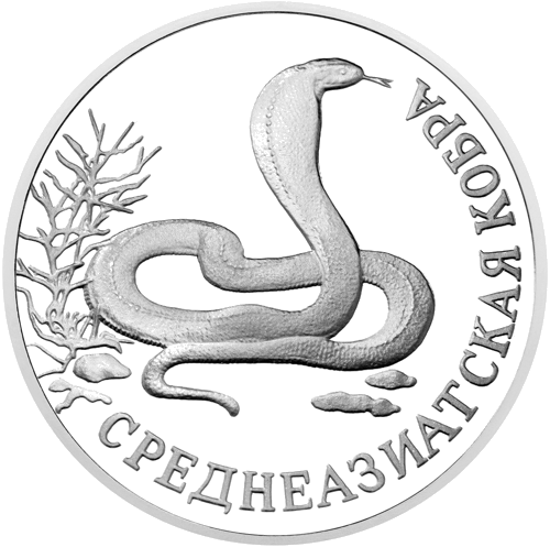 1 Ruble Central Asian Cobra Russia 1994 Silver Coin (1)