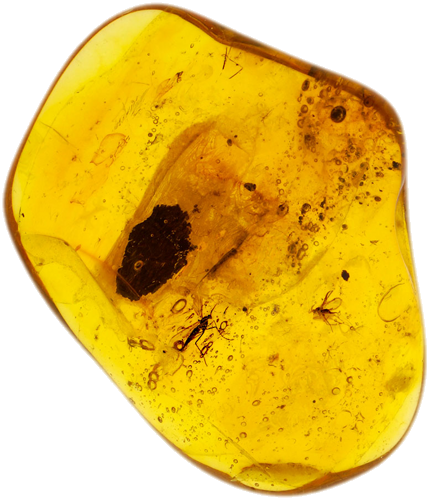 4,75 g Amber Nugget with inclusions (1)
