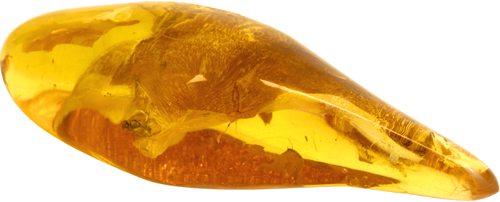 21,90 g Gintaro grynuolis su inkliuzais (4)