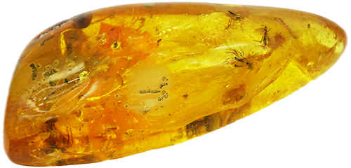 32,25 g Amber Nugget with inclusion (3)
