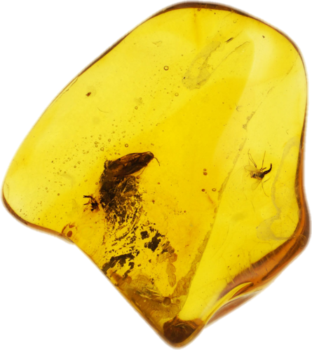 0,95 g Amber Nugget with inclusion (1)