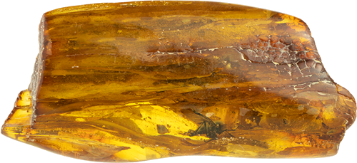 18,25 g Amber nugget with fly inclusions (1)