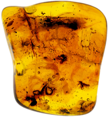 4,50 g Amber Nugget with inclusion (1)