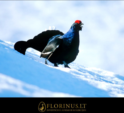 1999 Šiaurės Korėja, Lyrus Tetrix, 10 won sidabrinė moneta (5)