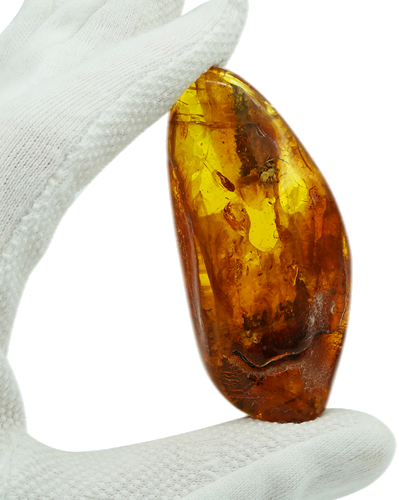 22,80 g Amber Nugget with spider inclusion (1)