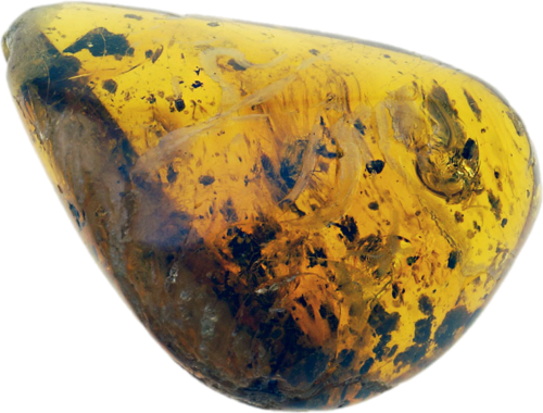 3,00 g Amber Nugget with inclusion (1)