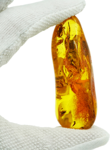 25,65 g Amber Nugget with fly inclusion (1)