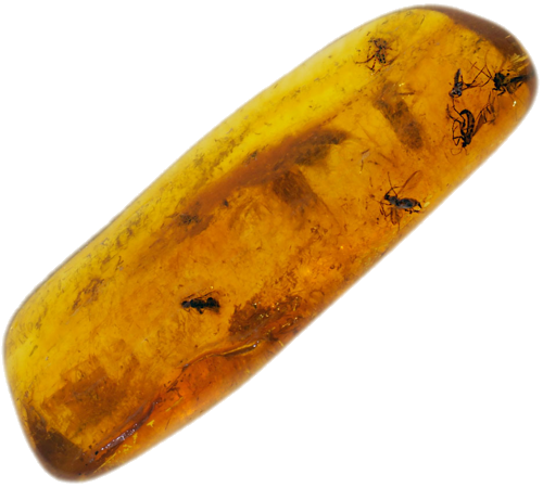 3,65 g Amber Nugget with 7 inclusions (1)